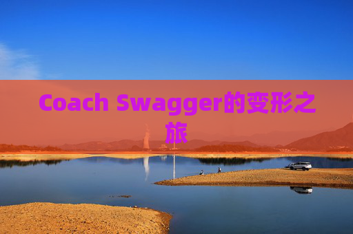 Coach Swagger的变形之旅 Coach Swagger的变形之旅